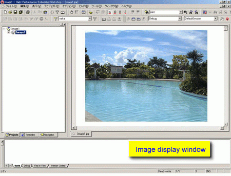Image display window